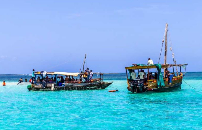 Kisite-Mpunguti Marine Park, South Coast (near Wasini Island), Kenya